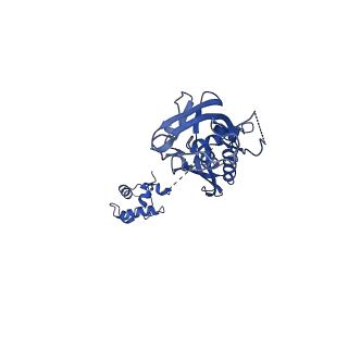 28785_8f1j_H_v1-0
SigN RNA polymerase early-melted intermediate bound to mismatch DNA fragment dhsU36mm2 (-12A)