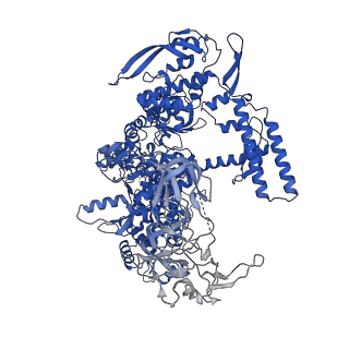 28785_8f1j_J_v1-0
SigN RNA polymerase early-melted intermediate bound to mismatch DNA fragment dhsU36mm2 (-12A)