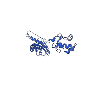 28791_8f1k_H_v1-0
SigN RNA polymerase early-melted intermediate bound to full duplex DNA fragment dhsU36 (-12T)
