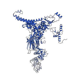 28791_8f1k_I_v1-0
SigN RNA polymerase early-melted intermediate bound to full duplex DNA fragment dhsU36 (-12T)