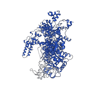 28791_8f1k_J_v1-0
SigN RNA polymerase early-melted intermediate bound to full duplex DNA fragment dhsU36 (-12T)
