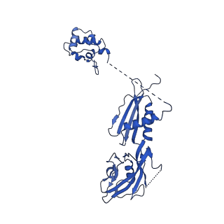 28797_8f1i_H_v1-0
SigN RNA polymerase early-melted intermediate bound to mismatch fragment dhsU36mm1 (-12T)
