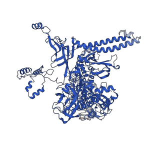 28797_8f1i_I_v1-0
SigN RNA polymerase early-melted intermediate bound to mismatch fragment dhsU36mm1 (-12T)
