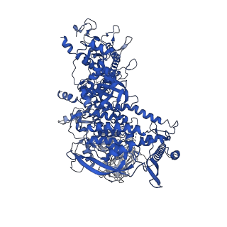 28797_8f1i_J_v1-0
SigN RNA polymerase early-melted intermediate bound to mismatch fragment dhsU36mm1 (-12T)