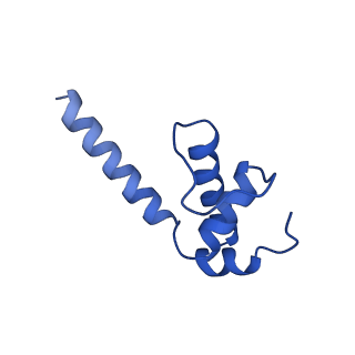 28797_8f1i_K_v1-0
SigN RNA polymerase early-melted intermediate bound to mismatch fragment dhsU36mm1 (-12T)