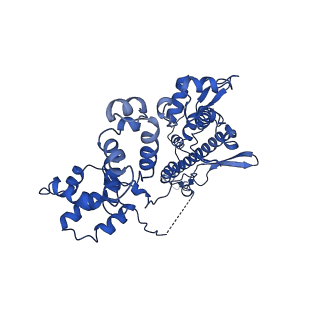 28797_8f1i_M_v1-0
SigN RNA polymerase early-melted intermediate bound to mismatch fragment dhsU36mm1 (-12T)