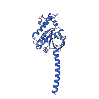 31405_7f16_A_v1-0
Cryo-EM structure of parathyroid hormone receptor type 2 in complex with a tuberoinfundibular peptide of 39 residues and G protein