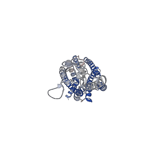 31405_7f16_R_v1-0
Cryo-EM structure of parathyroid hormone receptor type 2 in complex with a tuberoinfundibular peptide of 39 residues and G protein
