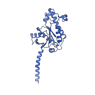 31421_7f1o_A_v1-1
Cryo-EM structure of the GDP-bound dopamine receptor 1 and mini-Gs complex with Nb35