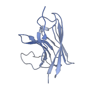 31421_7f1o_E_v1-1
Cryo-EM structure of the GDP-bound dopamine receptor 1 and mini-Gs complex with Nb35