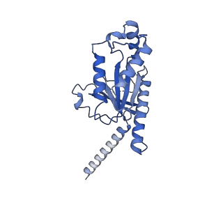 31422_7f1q_A_v1-0
Cryo-EM structure of the chemokine receptor CCR5 in complex with MIP-1a and Gi
