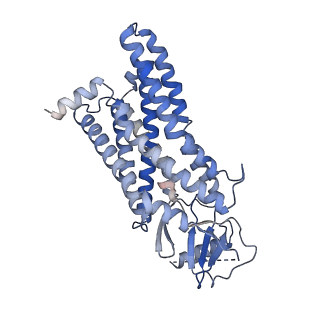 31422_7f1q_R_v1-0
Cryo-EM structure of the chemokine receptor CCR5 in complex with MIP-1a and Gi