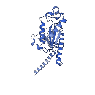 31423_7f1r_A_v1-0
Cryo-EM structure of the chemokine receptor CCR5 in complex with RANTES and Gi