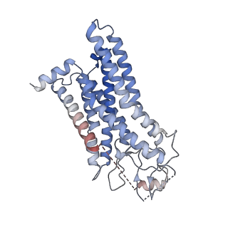 31423_7f1r_R_v1-0
Cryo-EM structure of the chemokine receptor CCR5 in complex with RANTES and Gi