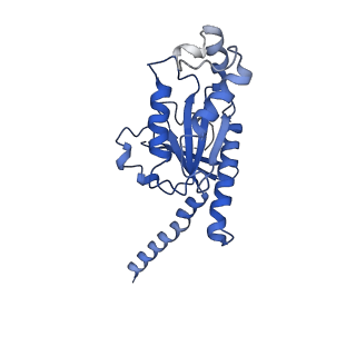 31424_7f1s_A_v1-0
Cryo-EM structure of the apo chemokine receptor CCR5 in complex with Gi