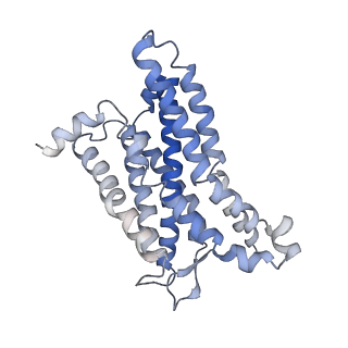 31424_7f1s_R_v1-0
Cryo-EM structure of the apo chemokine receptor CCR5 in complex with Gi