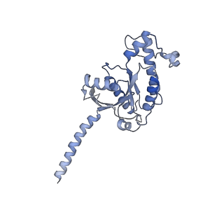 31425_7f1z_A_v1-1
Cryo-EM structure of the GDP-bound dopamine receptor 1 and mini-Gs complex without Nb35