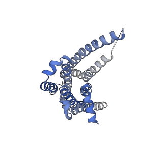 31425_7f1z_F_v1-1
Cryo-EM structure of the GDP-bound dopamine receptor 1 and mini-Gs complex without Nb35