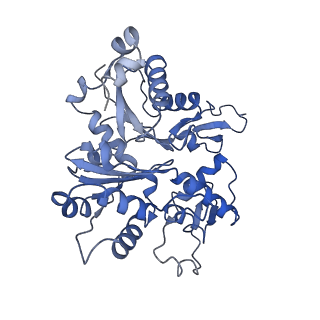 4168_6f1t_A_v1-3
Cryo-EM structure of two dynein tail domains bound to dynactin and BICDR1
