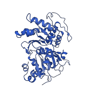 4168_6f1t_B_v1-3
Cryo-EM structure of two dynein tail domains bound to dynactin and BICDR1