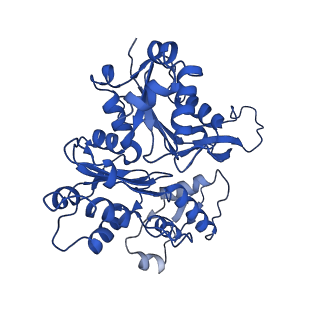 4168_6f1t_C_v1-3
Cryo-EM structure of two dynein tail domains bound to dynactin and BICDR1