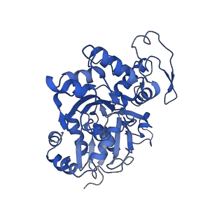 4168_6f1t_D_v1-3
Cryo-EM structure of two dynein tail domains bound to dynactin and BICDR1