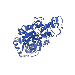 4168_6f1t_F_v1-3
Cryo-EM structure of two dynein tail domains bound to dynactin and BICDR1