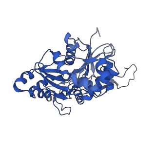 4168_6f1t_G_v1-3
Cryo-EM structure of two dynein tail domains bound to dynactin and BICDR1