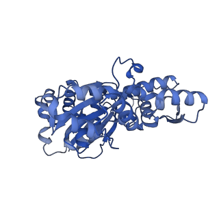 4168_6f1t_H_v1-3
Cryo-EM structure of two dynein tail domains bound to dynactin and BICDR1