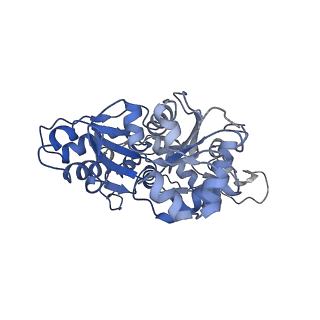 4168_6f1t_I_v1-3
Cryo-EM structure of two dynein tail domains bound to dynactin and BICDR1
