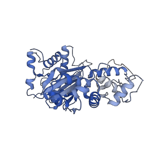 4168_6f1t_J_v1-3
Cryo-EM structure of two dynein tail domains bound to dynactin and BICDR1