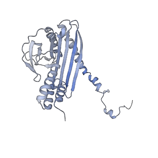 4168_6f1t_K_v1-3
Cryo-EM structure of two dynein tail domains bound to dynactin and BICDR1