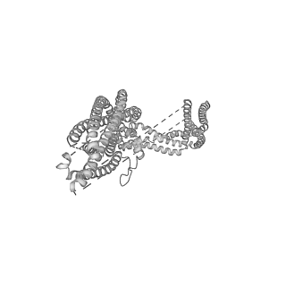 4168_6f1t_N_v1-3
Cryo-EM structure of two dynein tail domains bound to dynactin and BICDR1