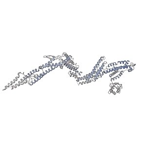 4168_6f1t_f_v1-3
Cryo-EM structure of two dynein tail domains bound to dynactin and BICDR1