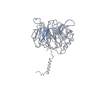 4168_6f1t_h_v1-3
Cryo-EM structure of two dynein tail domains bound to dynactin and BICDR1