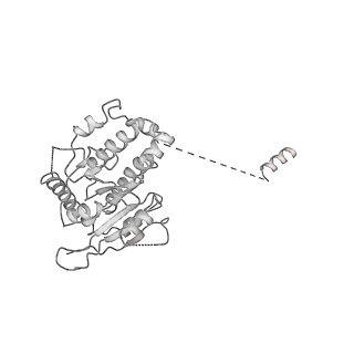 4168_6f1t_i_v1-3
Cryo-EM structure of two dynein tail domains bound to dynactin and BICDR1