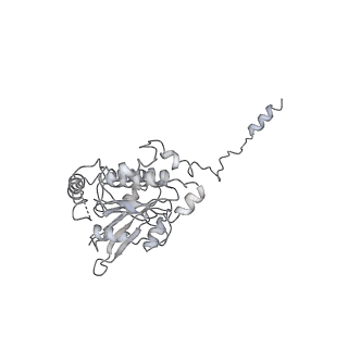 4168_6f1t_j_v1-3
Cryo-EM structure of two dynein tail domains bound to dynactin and BICDR1