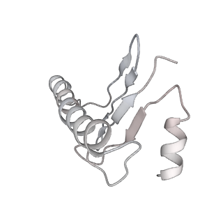 4168_6f1t_k_v1-3
Cryo-EM structure of two dynein tail domains bound to dynactin and BICDR1