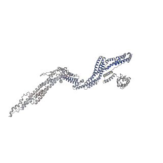 4168_6f1t_m_v1-3
Cryo-EM structure of two dynein tail domains bound to dynactin and BICDR1