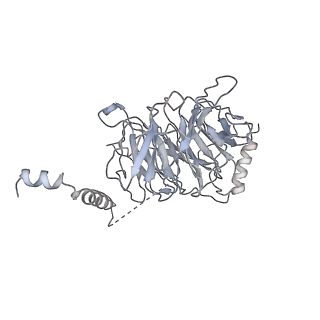 4168_6f1t_o_v1-3
Cryo-EM structure of two dynein tail domains bound to dynactin and BICDR1