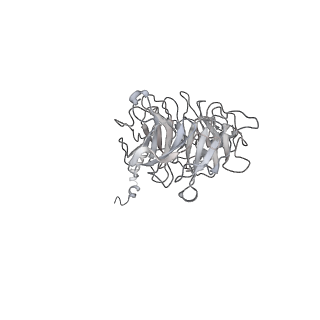 4168_6f1t_p_v1-3
Cryo-EM structure of two dynein tail domains bound to dynactin and BICDR1