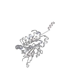 4168_6f1t_q_v1-3
Cryo-EM structure of two dynein tail domains bound to dynactin and BICDR1