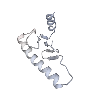 4168_6f1t_t_v1-3
Cryo-EM structure of two dynein tail domains bound to dynactin and BICDR1