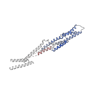 4171_6f1y_f_v1-3
Dynein light intermediate chain region of the dynein tail/dynactin/BICDR1 complex