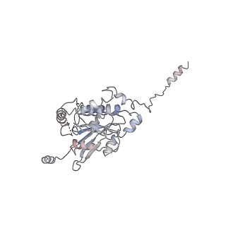 4171_6f1y_j_v1-3
Dynein light intermediate chain region of the dynein tail/dynactin/BICDR1 complex