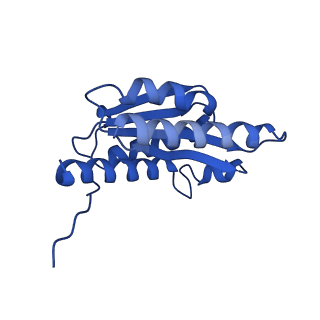 28807_8f25_1_v1-1
Cryo-EM structure of Lumazine synthase nanoparticle linked to VP8* antigen