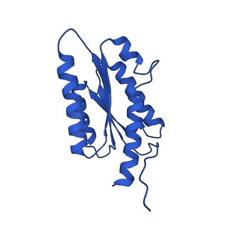 28807_8f25_3_v1-1
Cryo-EM structure of Lumazine synthase nanoparticle linked to VP8* antigen