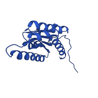 28807_8f25_4_v1-1
Cryo-EM structure of Lumazine synthase nanoparticle linked to VP8* antigen