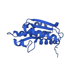 28807_8f25_5_v1-1
Cryo-EM structure of Lumazine synthase nanoparticle linked to VP8* antigen