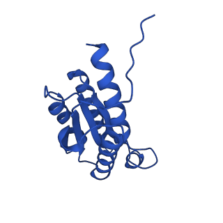 28807_8f25_6_v1-1
Cryo-EM structure of Lumazine synthase nanoparticle linked to VP8* antigen